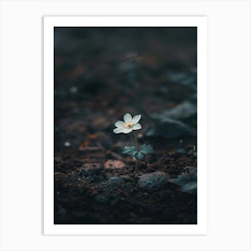 Single Flower 40 Art Print