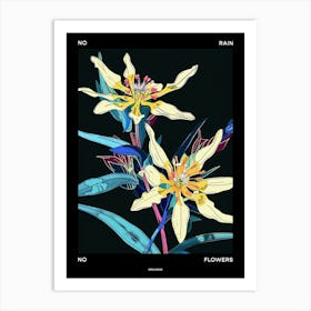 No Rain No Flowers Poster Edelweiss 3 Art Print