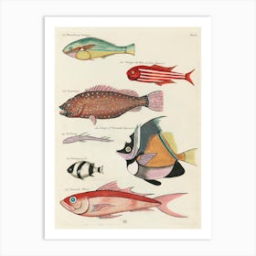 Colourful And Surreal Illustrations Of Fishes Found In Moluccas (Indonesia) And The East Indies, Louis Renard(49) Art Print