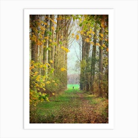 Autumn Woodland Walk Art Print