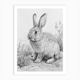 American Fuzzy Rabbit Drawing 3 Art Print