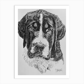 Greater Swiss Mountain Dog Line Sketch 2 Art Print