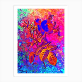 Pink Cabbage Rose de Mai Botanical in Acid Neon Pink Green and Blue Art Print