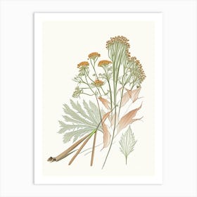 Angelica Root Spices And Herbs Pencil Illustration 2 Art Print