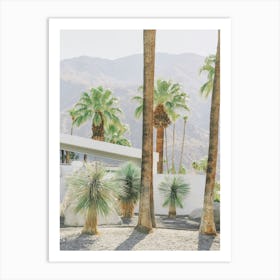 Palm Springs Palms Art Print