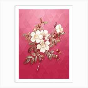 Vintage White Candolle Rose Botanical in Gold on Viva Magenta n.0766 Art Print