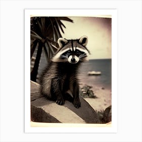 Cozumel Raccoon Vintage Photography 2 Art Print
