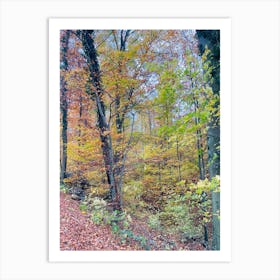 Autumn In The Forest 12 Art Print