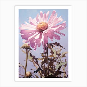 Floral Illustration Asters 3 Art Print