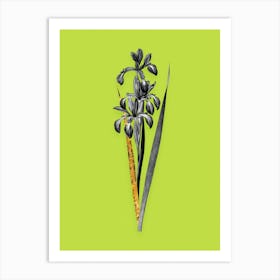 Vintage Blue Iris Black and White Gold Leaf Floral Art on Chartreuse n.0131 Art Print