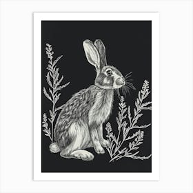 American Fuzzy Lop Rabbit Minimalist Illustration 2 Art Print