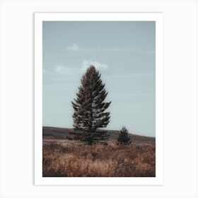 Open Range Pine Tree Art Print