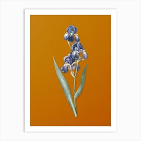 Vintage Dalmatian Iris Botanical on Sunset Orange n.0400 Art Print