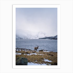 Lone Stag On The Banks Of A Scottish Loch Art Print