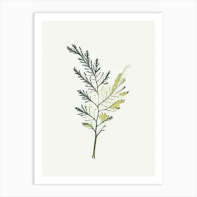 Yarrow Leaf Minimalist Watercolour 3 Art Print