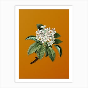 Vintage Shipova Botanical on Sunset Orange n.0723 Art Print