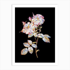 Stained Glass White Damask Rose Mosaic Botanical Illustration on Black n.0183 Art Print