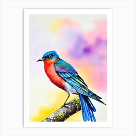 Cuckoo 2 Watercolour Bird Art Print