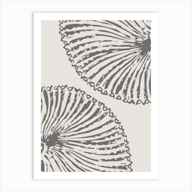 Seashells 1 Art Print