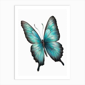 Blue Butterfly 1 Art Print