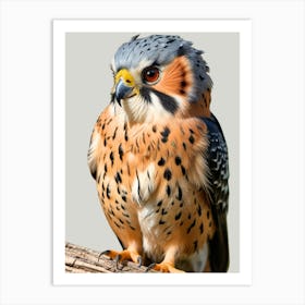 Peregrine Falcon Art Print