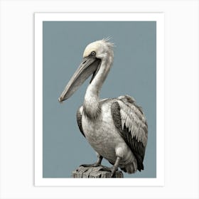 Pelican Canvas Print 2 Art Print