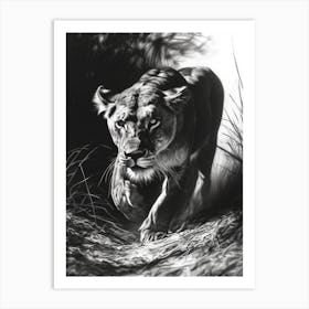 Barbary Lion Charcoal Drawing Lioness 2 Art Print