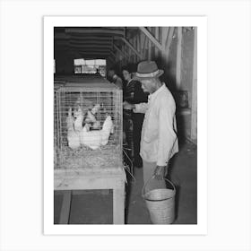 Woker Watering Chickens At South Louisiana State Fair, Donaldsonville, Louisiana By Russell Lee Art Print
