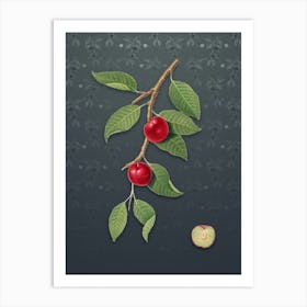 Vintage Cherry Plum Botanical on Slate Gray Pattern n.0336 Art Print