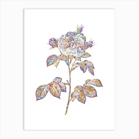 Stained Glass Vintage Rosa Alba Mosaic Botanical Illustration on White Art Print