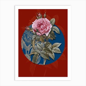 Vintage Botanical Pink French Rose on Circle Blue on Red n.0059 Art Print