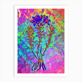 Lily of the Incas Botanical in Acid Neon Pink Green and Blue n.0242 Art Print