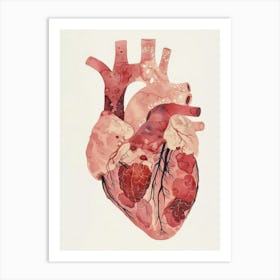 Human Heart Art Print