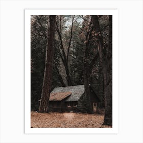 Cabin Hidden In Woods Art Print