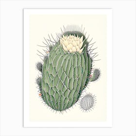 Acanthocalycium Cactus William Morris Inspired 2 Art Print