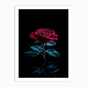 Red Rose On Black Background 12 Art Print