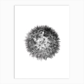 Grey Grafic Dandelion Art Print