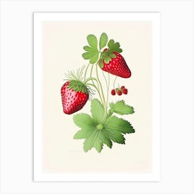 Wild Strawberries, Plant, Retro Drawing 1 Art Print
