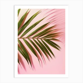 Palm Leaf On Pink Background 6 Art Print