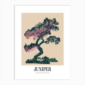 Juniper Tree Colourful Illustration 4 Poster Art Print