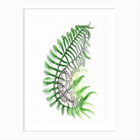 Netted Chain Fern Watercolour Art Print