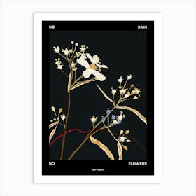 No Rain No Flowers Poster Babys Breath 6 Art Print