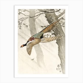 Flying Pheasant (1900 1910), Ohara Koson Art Print