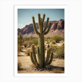 Cactus In The Desert 3 Art Print