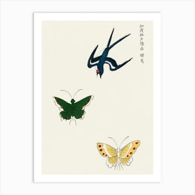 Japanese Vintage Original Woodblock Print Of Swallow And Butterflies From Yatsuo No Tsubaki, Taguchi Tomoki Art Print
