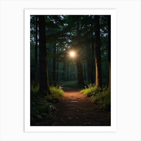 Path in the night forest Art Print