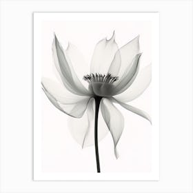 X Ray Flower 5 Art Print