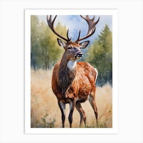 Red Deer Art Print