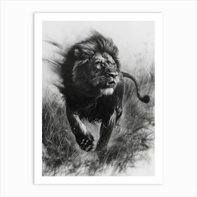 African Lion Charcoal Drawing Hunting 1 Art Print