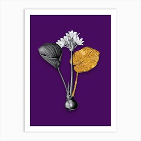 Vintage Cardwell Lily Black and White Gold Leaf Floral Art on Deep Violet n.0507 Art Print